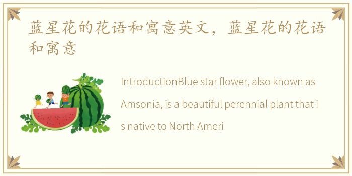 蓝星花的花语和寓意英文，蓝星花的花语和寓意