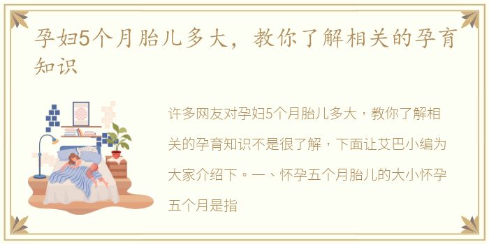 孕妇5个月胎儿多大，教你了解相关的孕育知识