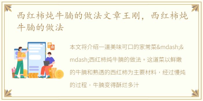 西红柿炖牛腩的做法文章王刚，西红柿炖牛腩的做法