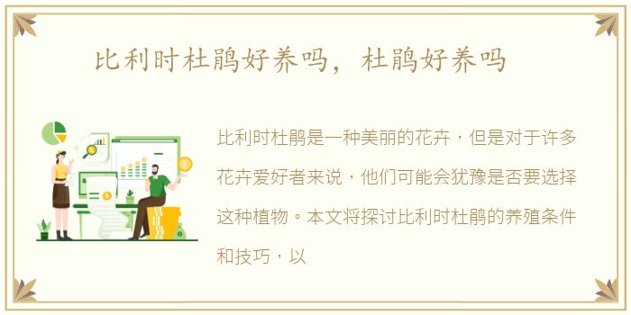 比利时杜鹃好养吗，杜鹃好养吗