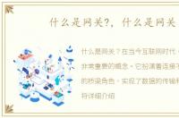 什么是网关?，什么是网关