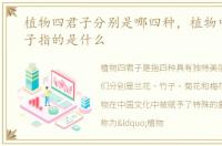植物四君子分别是哪四种，植物中的四君子指的是什么