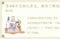 孕妇5个月胎儿多大，教你了解相关的孕育知识