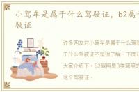 小驾车是属于什么驾驶证，b2属于什么驾驶证