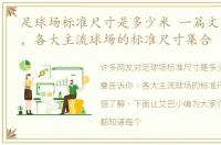足球场标准尺寸是多少米 一篇文章告诉你，各大主流球场的标准尺寸集合