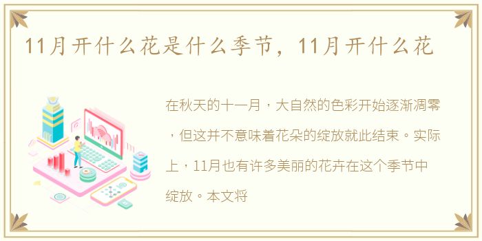 11月开什么花是什么季节，11月开什么花