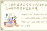 何炅谢娜最近关系紧张是真的吗细节（何炅和谢娜的关系变差原因）