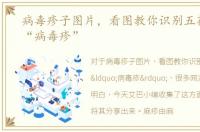病毒疹子图片，看图教你识别五花八门的“病毒疹”