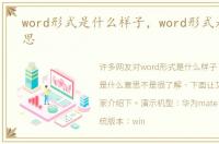 word形式是什么样子，word形式是什么意思