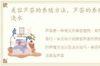 美容芦荟的养殖方法，芦荟的养殖方法和浇水