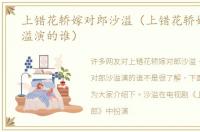 上错花轿嫁对郎沙溢（上错花轿嫁对郎沙溢演的谁）