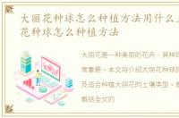 大丽花种球怎么种植方法用什么土，大丽花种球怎么种植方法
