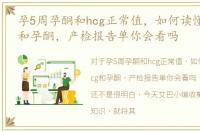 孕5周孕酮和hcg正常值，如何读懂早期hcg和孕酮，产检报告单你会看吗