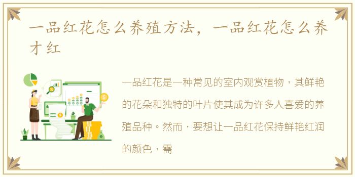 一品红花怎么养殖方法，一品红花怎么养才红