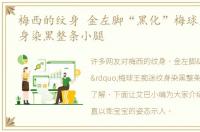梅西的纹身 金左脚“黑化”梅球王痴迷纹身染黑整条小腿