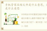 手机管家压缩文件是什么意思，压缩文件是什么意思