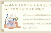 word怎么设置项目符号和编号，如何使用word中的项目符号及自动编号