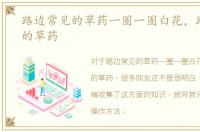 路边常见的草药一圈一圈白花，路边常见的草药