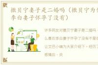 撒贝宁妻子是二婚吗（撒贝宁为什么喜欢李白妻子怀孕了没有）