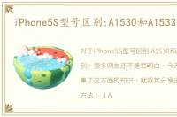 iPhone5S型号区别:A1530和A1533的区别