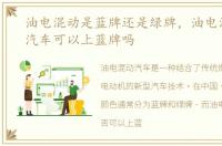 油电混动是蓝牌还是绿牌，油电混合动力汽车可以上蓝牌吗