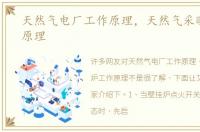 天然气电厂工作原理，天然气采暖炉工作原理