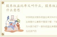 股东权益比率又叫什么，股东权益比率是什么意思