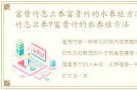 富贵竹怎么养富贵竹的水养殖方法，富贵竹怎么养?富贵竹的水养殖方法