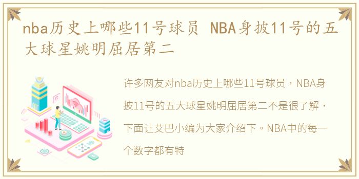 nba历史上哪些11号球员 NBA身披11号的五大球星姚明屈居第二
