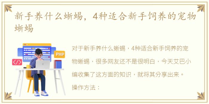 新手养什么蜥蜴，4种适合新手饲养的宠物蜥蜴