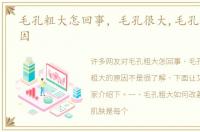 毛孔粗大怎回事，毛孔很大,毛孔粗大的原因
