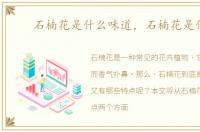 石楠花是什么味道，石楠花是什么