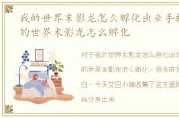 我的世界末影龙怎么孵化出来手机版，我的世界末影龙怎么孵化