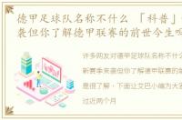 德甲足球队名称不什么 「科普」新赛季来袭但你了解德甲联赛的前世今生吗