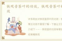 铁观音茶叶的功效，铁观音茶叶的常见功效