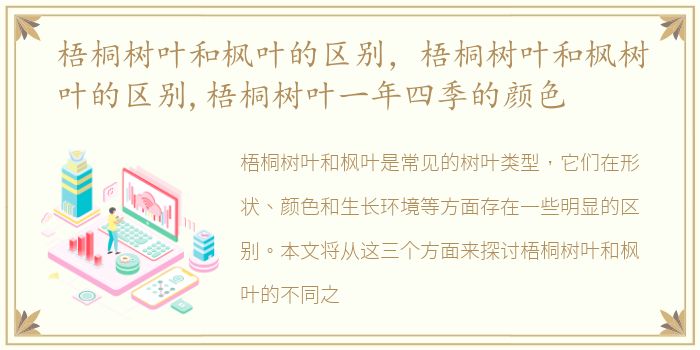 梧桐树叶和枫叶的区别，梧桐树叶和枫树叶的区别,梧桐树叶一年四季的颜色