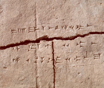从2900年历史的亚述粘土砖中提取的古代植物DNA