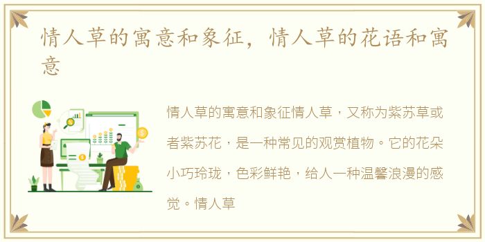 情人草的寓意和象征，情人草的花语和寓意