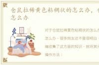 仓鼠拉稀黄色粘稠状的怎么办，仓鼠拉稀怎么办