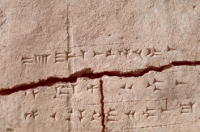 从2900年历史的亚述粘土砖中提取的古代植物DNA