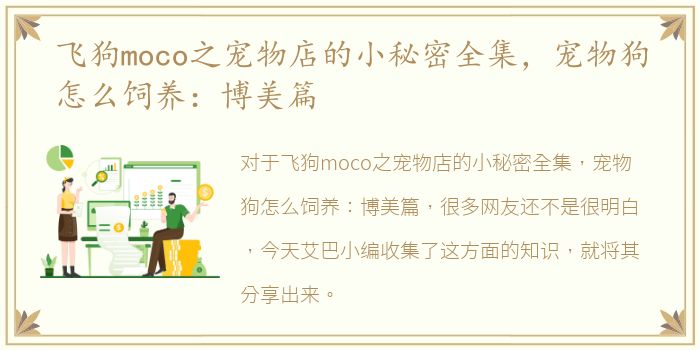 飞狗moco之宠物店的小秘密全集，宠物狗怎么饲养：博美篇
