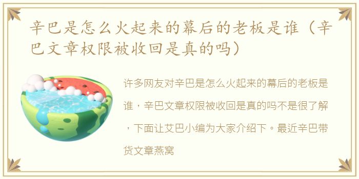 辛巴是怎么火起来的幕后的老板是谁（辛巴文章权限被收回是真的吗）