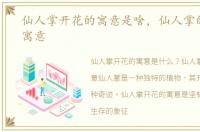 仙人掌开花的寓意是啥，仙人掌的花语和寓意
