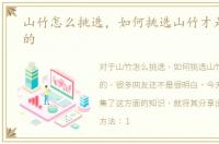 山竹怎么挑选，如何挑选山竹才是最新鲜的