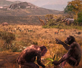 870万年前的化石表明人类和非洲猿的祖先在欧洲进化