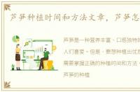 芦笋种植时间和方法文章，芦笋怎样种植
