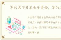 草的名字日本金子美铃，草的名字