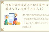 柳岩伴娘风波是怎么回事事件始末（柳岩最近为什么没有消息不见了）