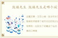 鼓楼先生 鼓楼先生是哪个城市