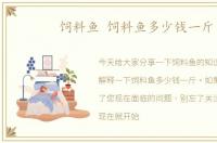 饲料鱼 饲料鱼多少钱一斤